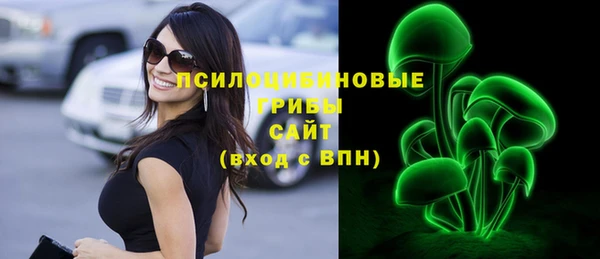 apvp Строитель