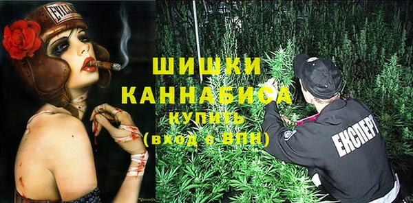 прущие грибы Бугульма