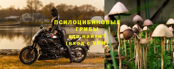 apvp Строитель