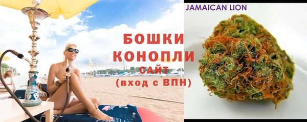 прущие грибы Бугульма