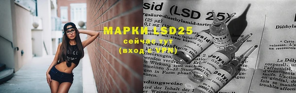 прущие грибы Бугульма