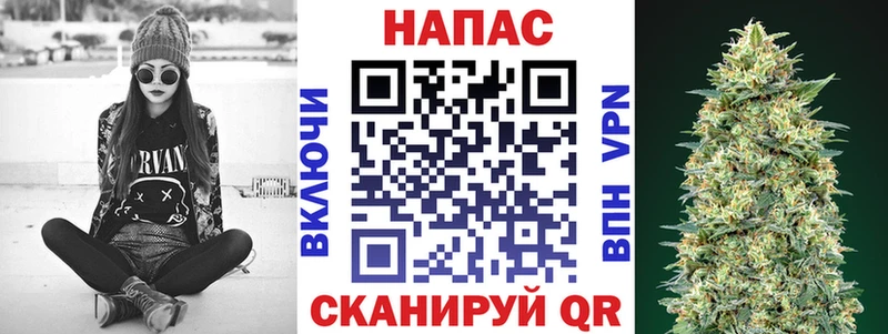 Конопля SATIVA & INDICA  где купить наркоту  Мышкин 